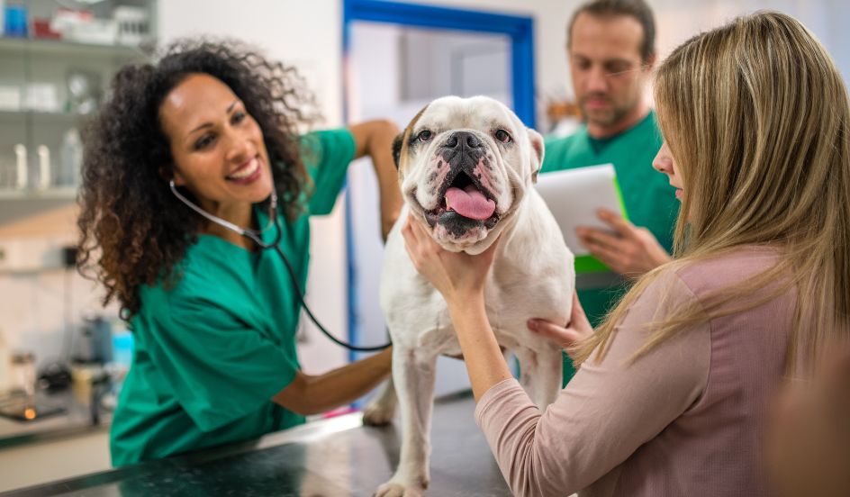 veterinary assistant helping owner with dog