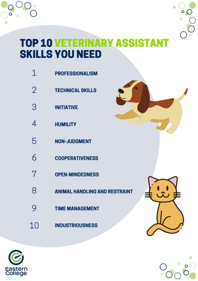 Top 10 Veterinary Assistant Skills You Need | Eastern College