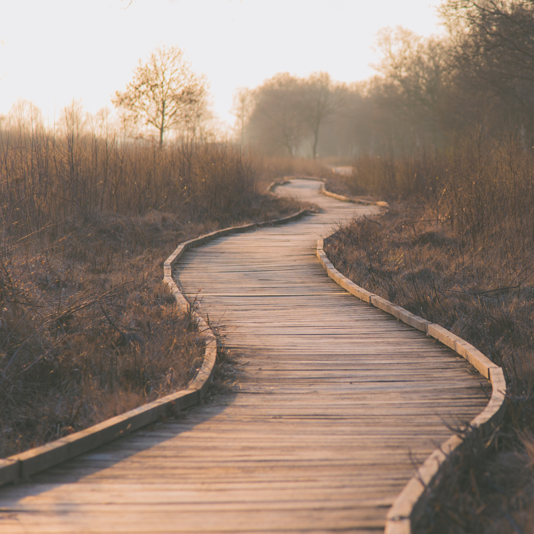 Eastern College Partners with the Canadian Marketing Association to Offer an Accelerated Chartered Marketer Pathway featured image